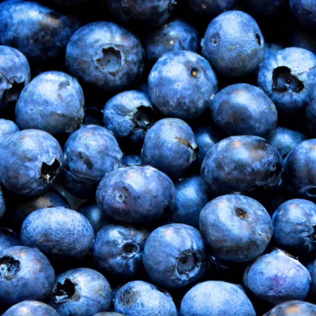 Mount Rainier Ecofarm Blueberries 4 pound frozen